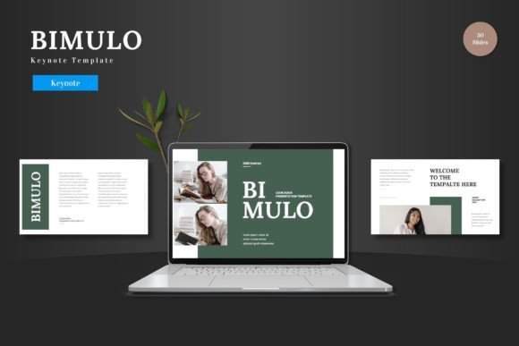Bimulo Keynote Template: A Comprehensive Professional Presentation Toolkit