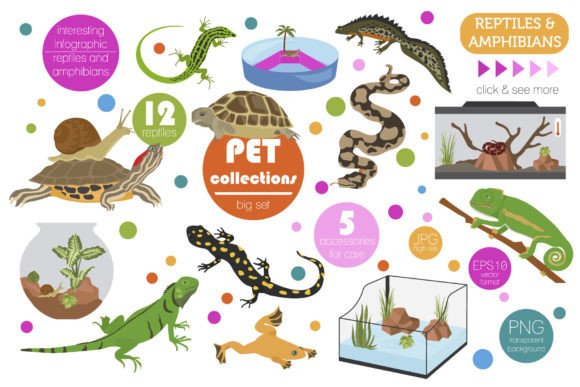 Evaluating the Pet Reptiles and Amphibians Set as a Content Resource