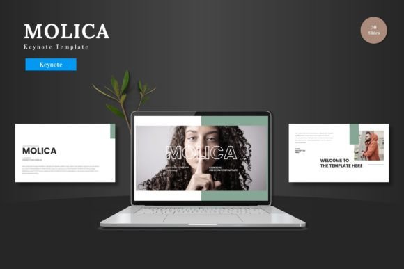 Molica Keynote Template: Your Solution for Effortless, Professional Presentations