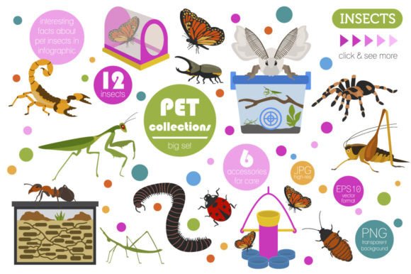 The Ultimate Pet Insects Illustrations Set for Creators and Professionals